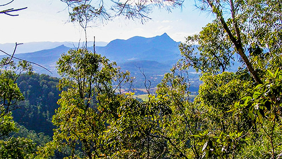 Wollumbin National Park